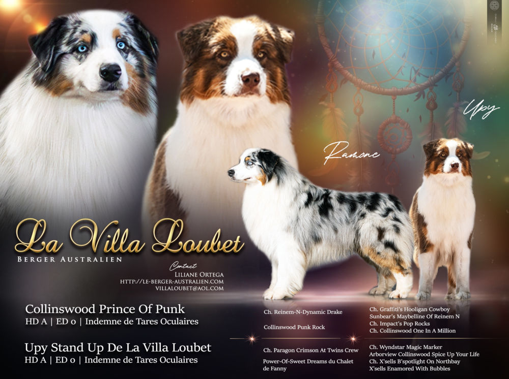 Naissance des chiots de Ramon et Upy