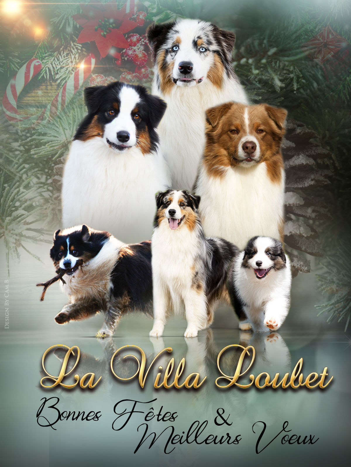 Joyeuses Fêtes 