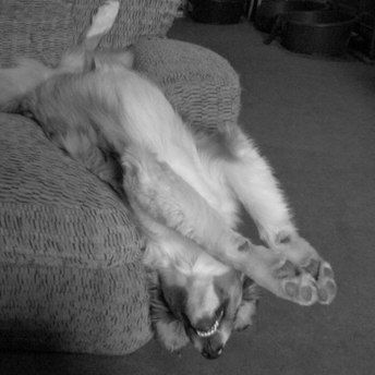 Aby (Merci à Sophie pour la photo)