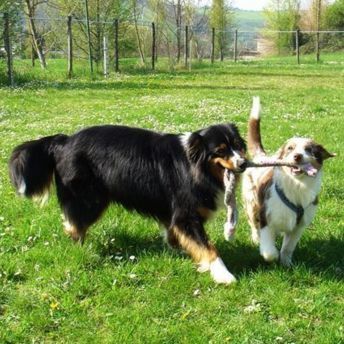 Anouk et son copain Texas