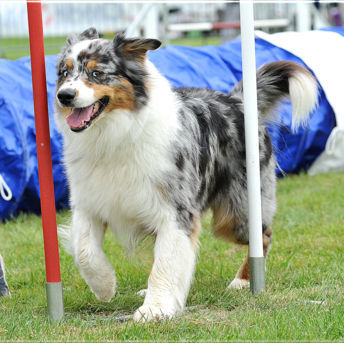 Elliot 5 ans 1/2 déjà (Merci à Isabelle pour la photo)