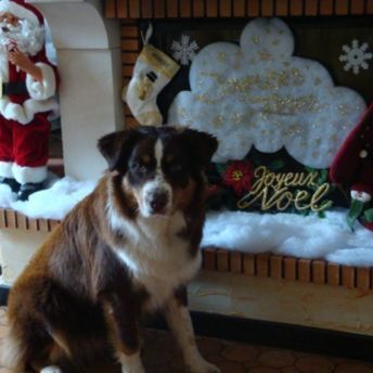 Ebene (Merci à Monique)